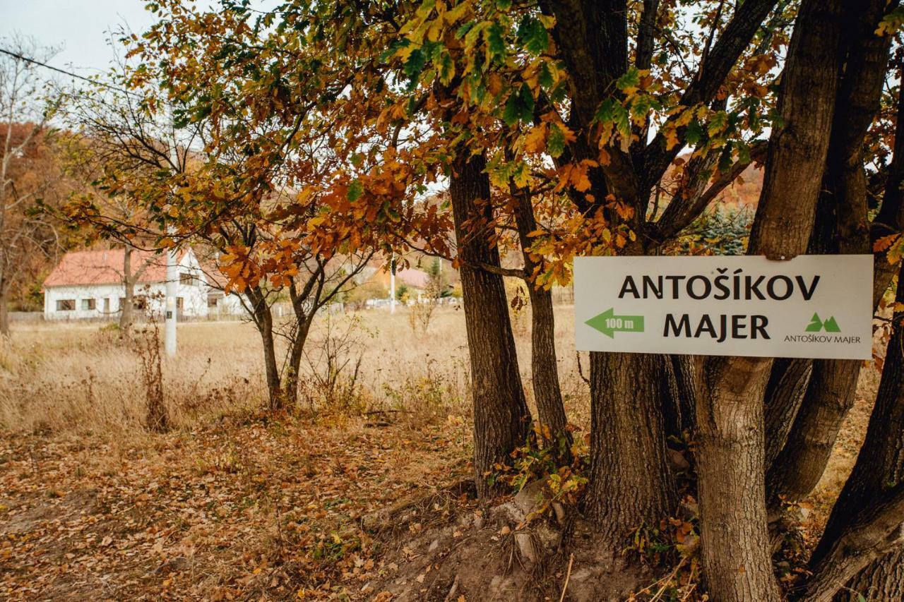 Гостьовий будинок Antosikov Majer Банська Штявниця Екстер'єр фото